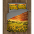 3D ágynemű - Sunflower Field