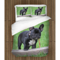 Francia bulldog meleg paplan - French Bulldog Grass