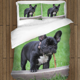 Francia bulldog meleg paplan - French Bulldog Grass