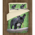 Francia bulldog meleg paplan - French Bulldog Grass