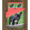 Francia bulldog meleg paplan - French Bulldog Grass