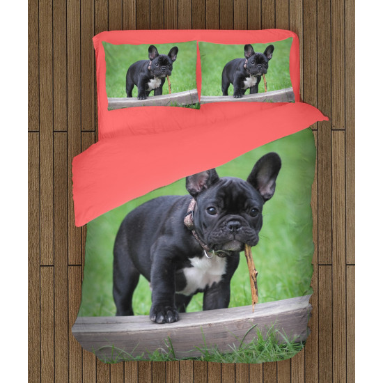 Francia bulldog meleg paplan - French Bulldog Grass