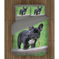 Francia bulldog meleg paplan - French Bulldog Grass