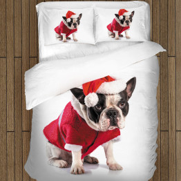 Francia Bulldogos paplan - Christmas French Bulldog