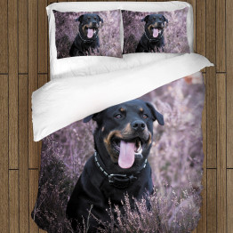 Rottweiler paplan