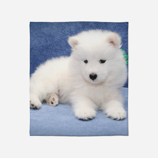 Kutya polár pléd - Baby Samoyed