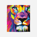 Takaró - Colorful Lion