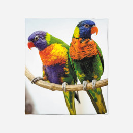 Polár pléd - Colorful Parrots