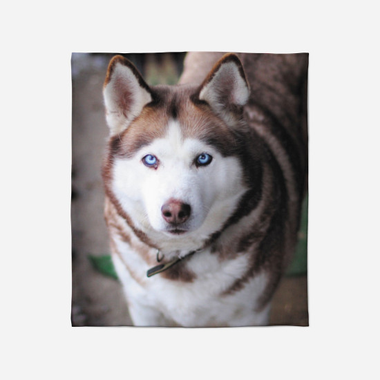 3D takaró - Husky Brown