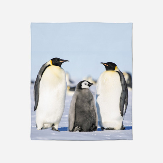 3D takaró - Pinguins