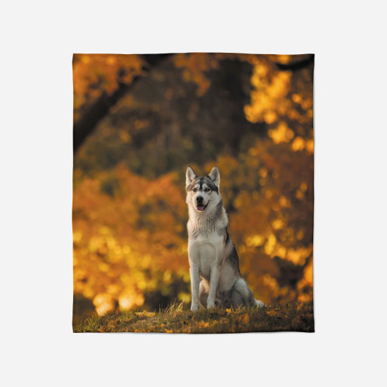 Takaró - Wolf in The Autumn