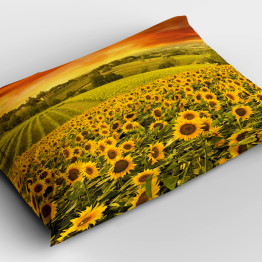 Sárga párna 45x45 - Sunflower Field