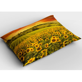 Sárga párna 45x45 - Sunflower Field