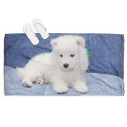 Strand törölköző - Baby Samoyed