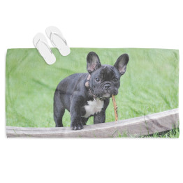 strandtörölköző - French Bulldog