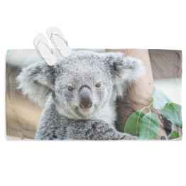 Strandtörölköző - Koala