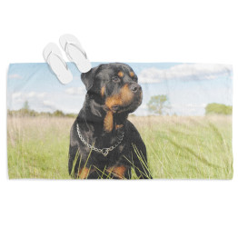 Strand törölköző - Rottweiler