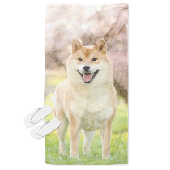 Strand törölköző - Shiba Inu