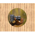 3D kerek szőnyeg - Squirrel with camera