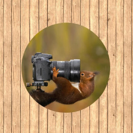 3D kerek szőnyeg - Squirrel with camera