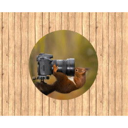 3D kerek szőnyeg - Squirrel with camera