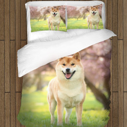 Shiba Inu ágynemű garnitúra