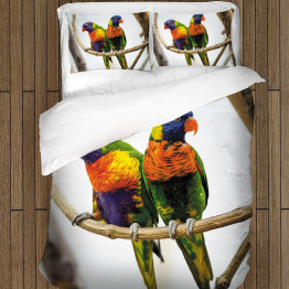 3D szép paplan szett - Colorful Parrots